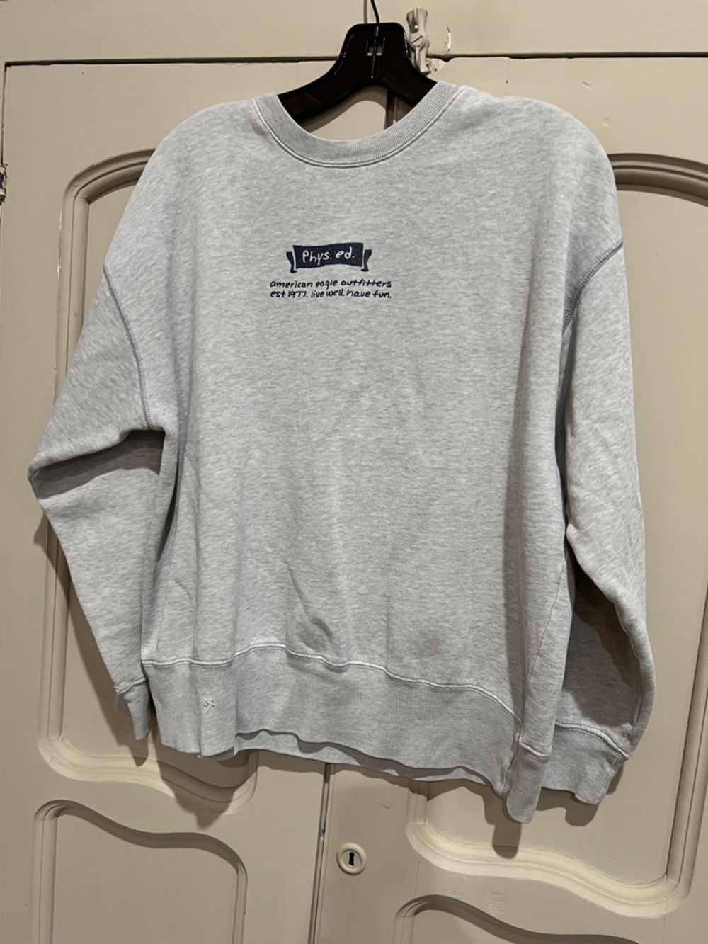 American Eagle Outfitters Light Gray Crewneck Sweatshirt with Navy Logo